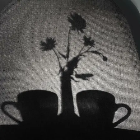 Rote Rosen -biberhuus * Undeloh